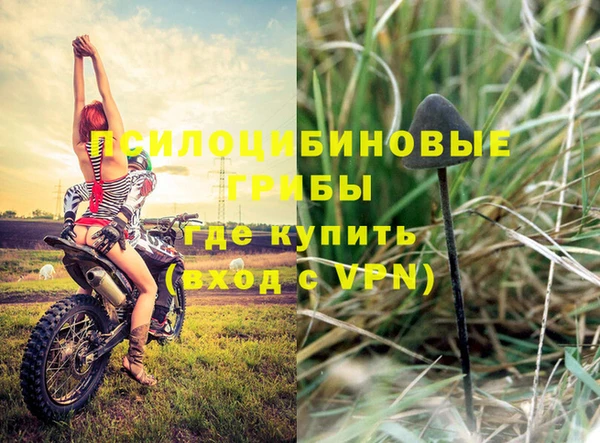 ПСИЛОЦИБИНОВЫЕ ГРИБЫ Алексин