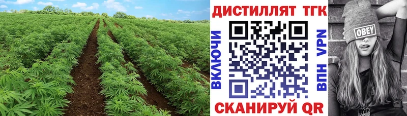 Дистиллят ТГК Wax Норильск