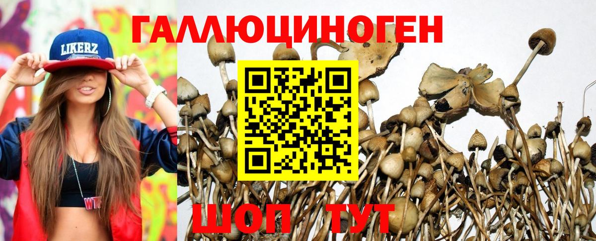 Норильск  Галлюциногенные грибы мицелий  наркошоп  Вход с VPN 