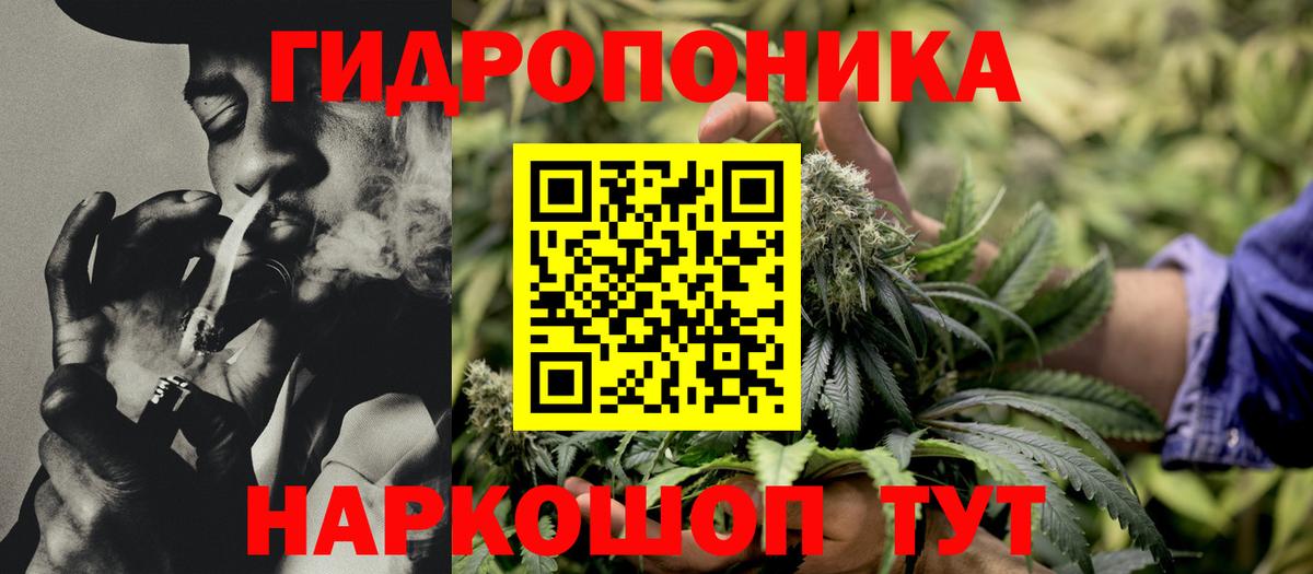 Марихуана гибрид Норильск